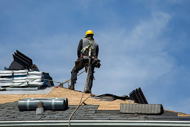 Professional Gutter Installation technician working in Elk Creek, NE